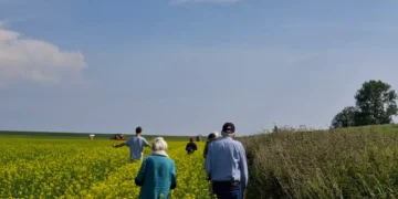 Nieuwe excursies in Noord-Groningen moeten kloof tussen burger en boeren verkleinen: ‘Onbekend maakt onbemind’