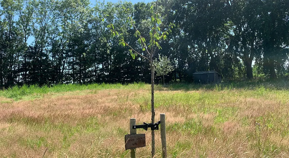 garrelsweer pluktuin 