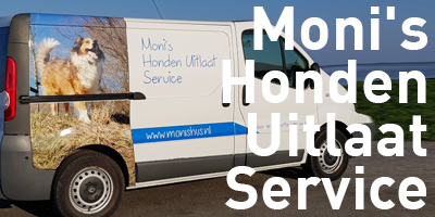moni