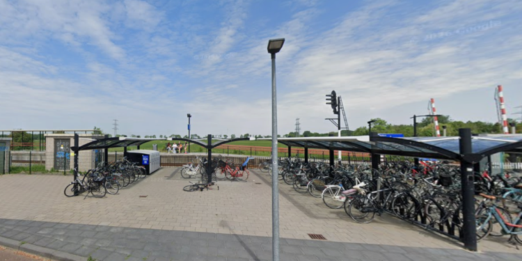 Hond wordt stoned na eten mensenpoep in Bedum