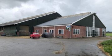 Gemeente dwingt boer in Tinallinge tot inkrimping veestapel